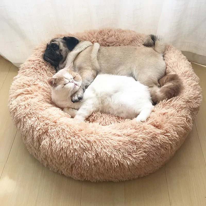 Soft & Comfortable Bed for Pets