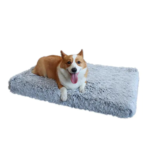 Plush Washable Bed