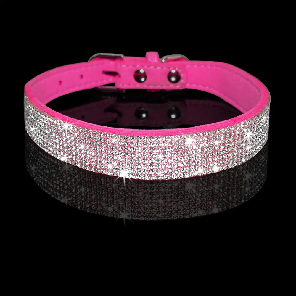 Stylish Pet Collar