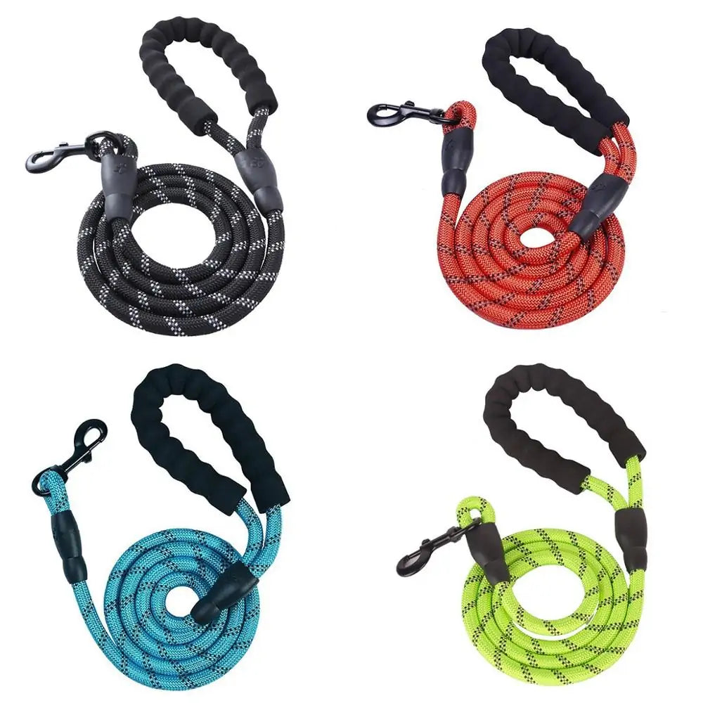 Walking Pet Training Leash