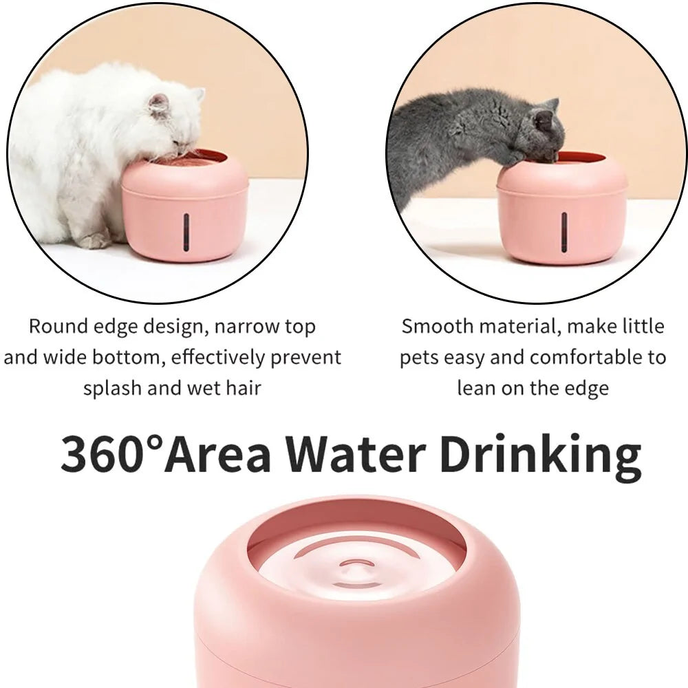 Cute Drinking & Feeder Bowl